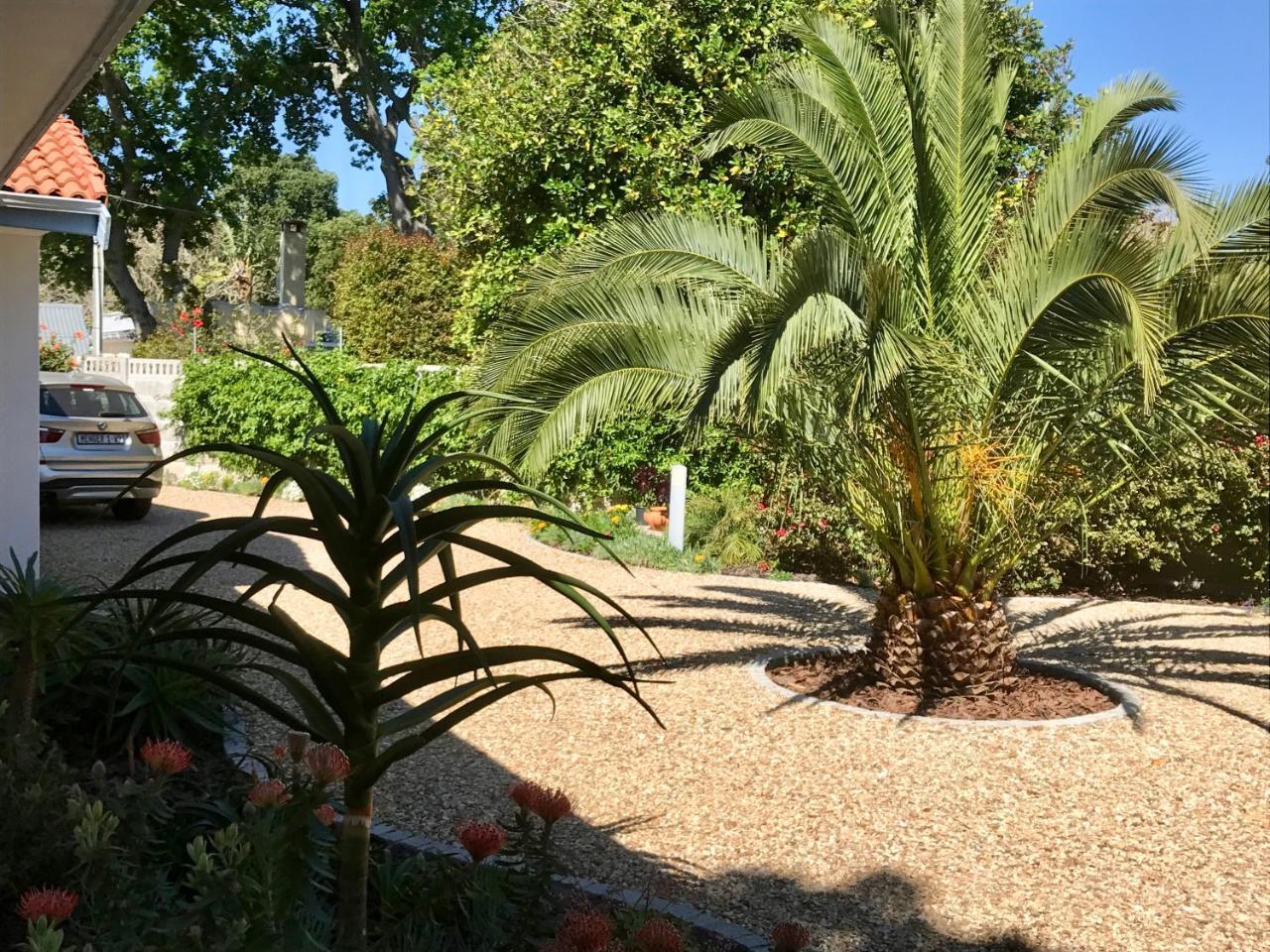 Grenadilla Lägenhet Constantia Exteriör bild